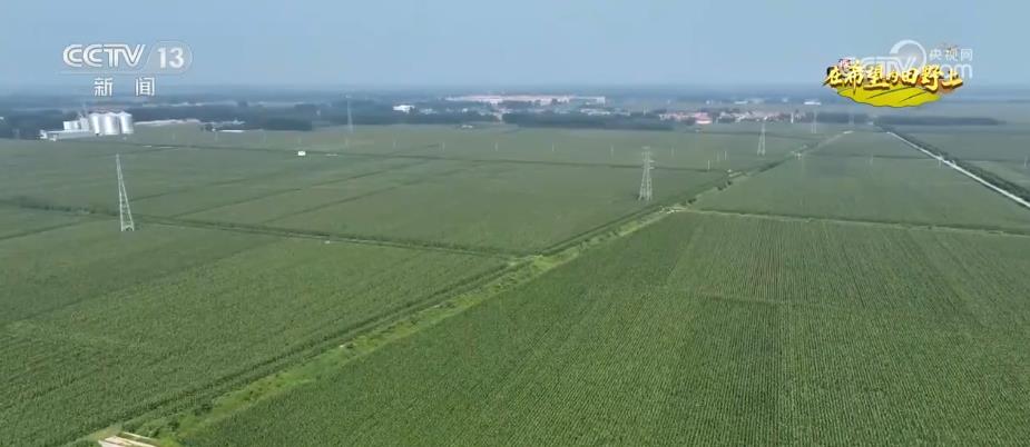 “濟麥”“齊黃”“登海”等優(yōu)質品種多次刷新全國高產紀錄(圖1)