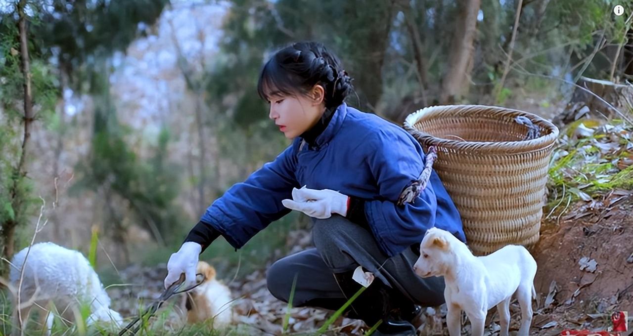 李子柒停更一年仍有收益，她的“消失”，是網(wǎng)紅圈的損失和悲哀(圖13)