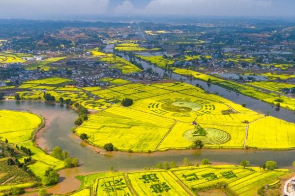 2024年重慶潼南菜花節(jié)什么時(shí)候舉行 時(shí)間-地點(diǎn)-門(mén)票