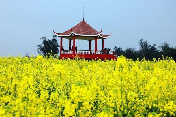 2024年重慶潼南菜花節(jié)什么時(shí)候舉行 時(shí)間-地點(diǎn)-門(mén)票