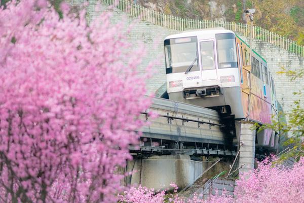 重慶開(kāi)往春天的列車是幾號(hào)線