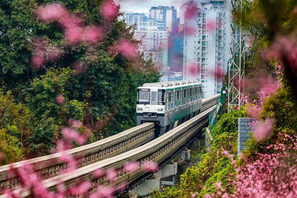 重慶開(kāi)往春天的列車是幾號(hào)線