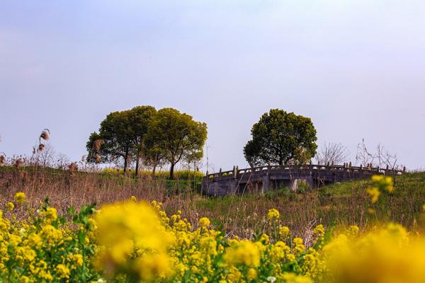 蘇州春季賞花景點(diǎn)有哪些