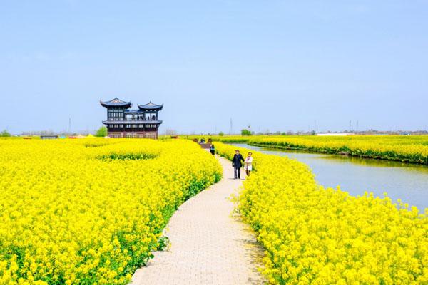 興化千垛景區(qū)門(mén)票優(yōu)惠政策2024