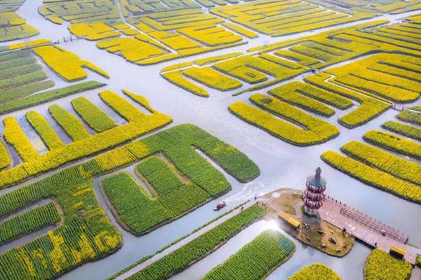 興化千垛景區(qū)門(mén)票優(yōu)惠政策2024