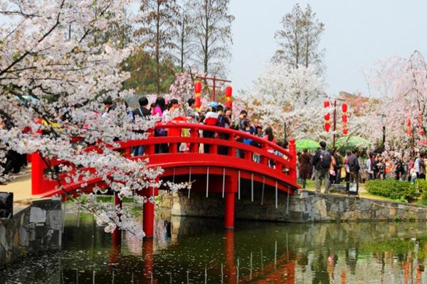 2024武漢東湖磨山櫻花園門(mén)票價(jià)格