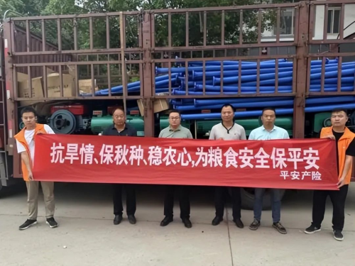 南澇北旱態勢持續，平安產險多措并舉做好防汛抗旱工作(圖7)
