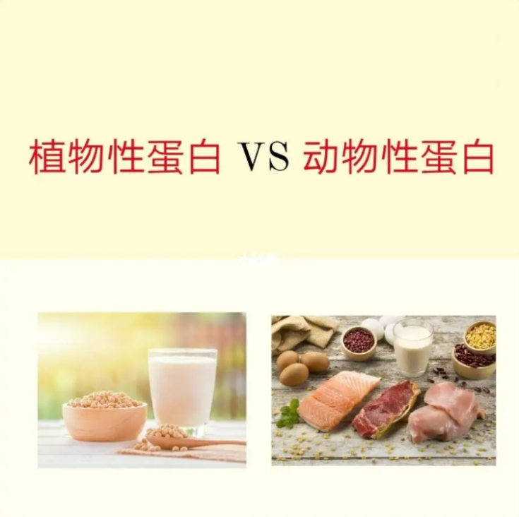 幫助補充蛋白質，湯臣倍健雙蛋白粉守護健康(圖2)