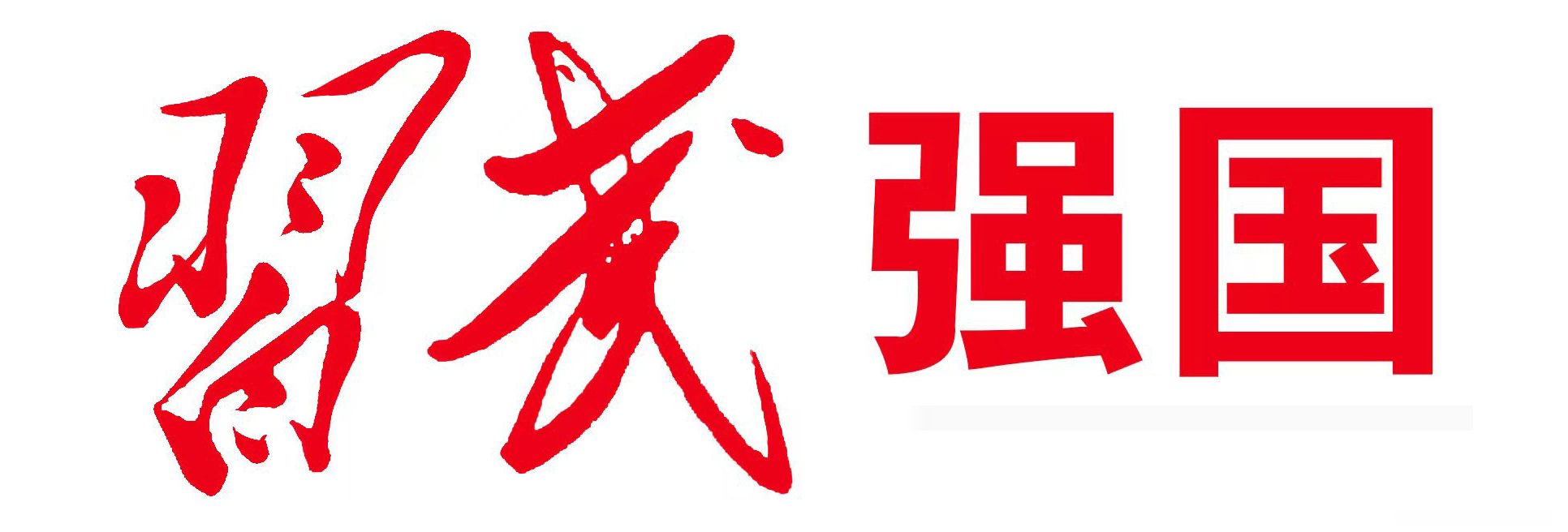 “習武強國”全國大型公益武術展示活動