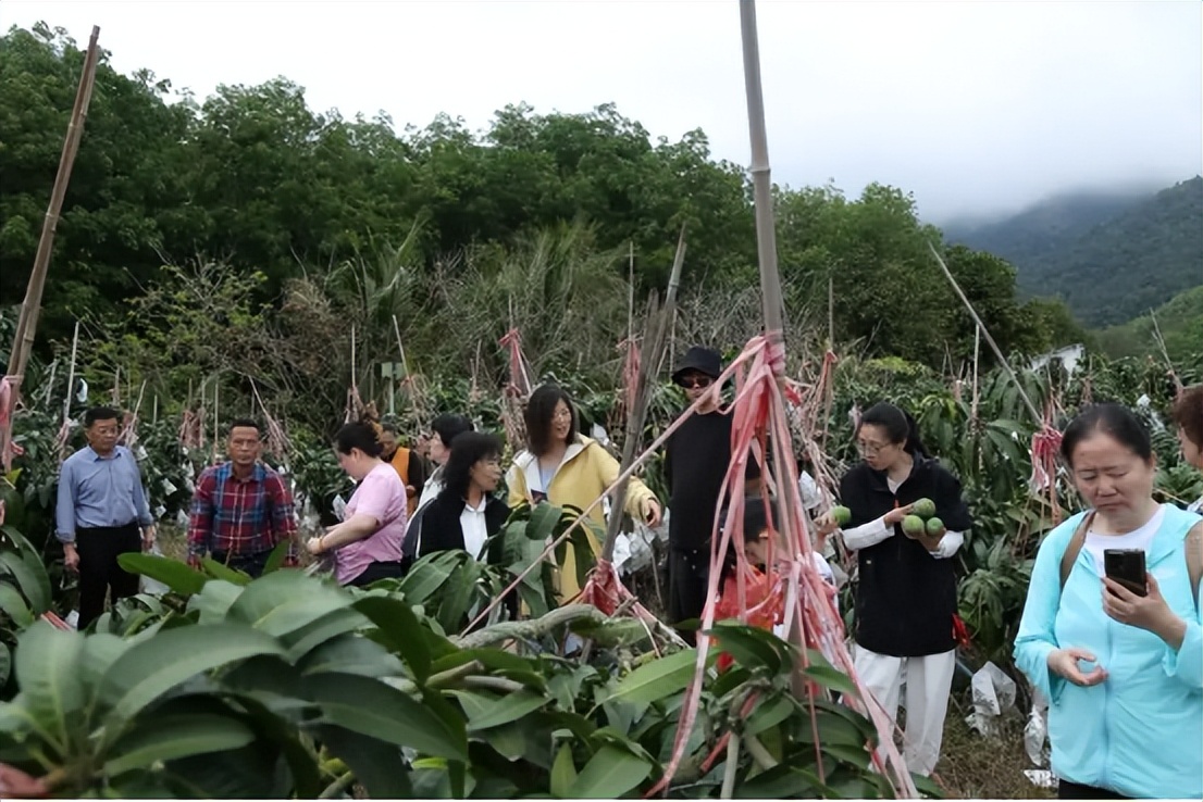 山海聯(lián)動(dòng)！晉瓊康養(yǎng)新生態(tài)鏈，“健康家園”在海南！(圖24)